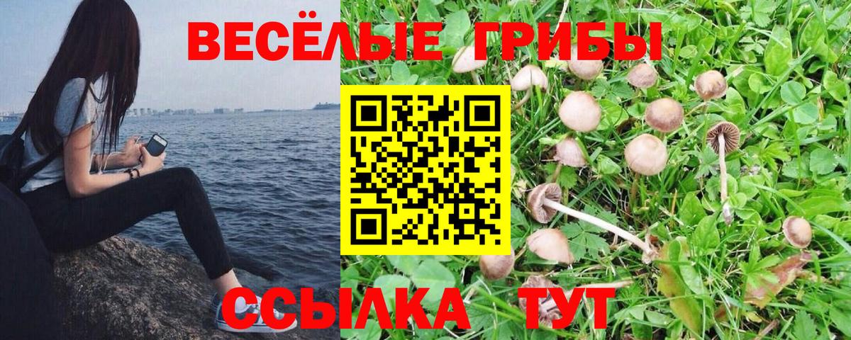 где продают   Псилоцибиновые грибы мухоморы  Вход с VPN  Юрга 